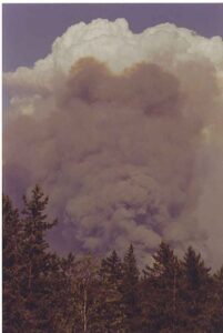 Off Grid and Free: The Terror of Forest Fires, Part 1 Image